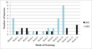 Figure 1: Injuries sustained in individual weeks of training